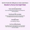 Frudia Blueberry Honey Overnight Mask