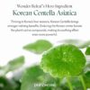 Purito Centella Green Level Buffet Serum 60ml - Image 3