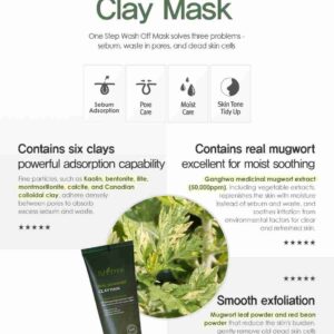 Isntree Real Mugwort Clay Mask