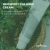Isntree Spot Saver Mugwort Cream 50ml - Image 4