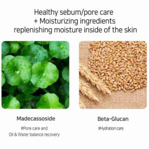 Muldream Vegan Green Mild Fresh Serum Toner