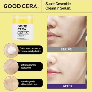 Holika Holika Good Cera Super Ceramide Cream In Serum