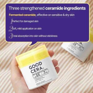 Holika Holika Good Cera Super Ceramide Cream In Serum