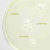 Beauty of Joseon Calming Serum: Green Tea+Panthenol 30ml - Image 3