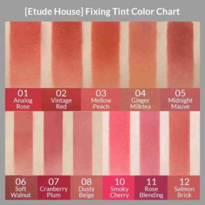 Etude Fixing Tint Salmon Brick