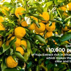 JKosmec Yuja and Vitamin C Hydrating Toner Pads