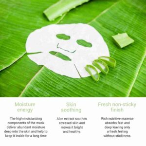 Skinsomnia Aloe Real Essence Mask