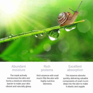 Skinsomnia Snail Real Essence Mask