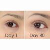 Etude My Lash Serum 9g - Image 3